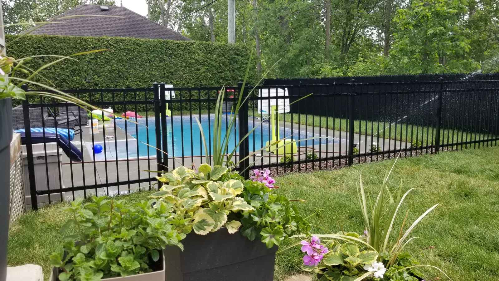 Clôture piscine n° 026