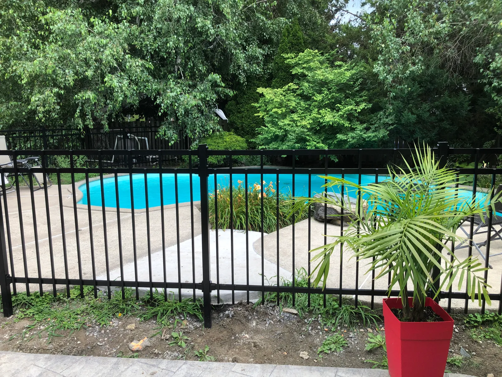 Clôture piscine n° 077